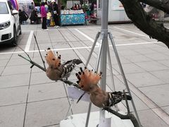 -陕西自然博物馆