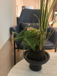 -上海薇琳医疗美容医院