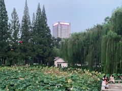 -包公祠
