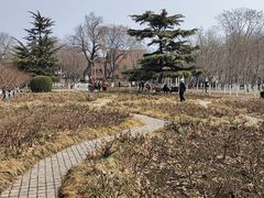 -睦南公园