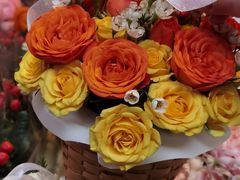 -循礼门鲜花花市(武汉循礼门店)