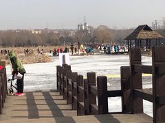 -前关湿地公园