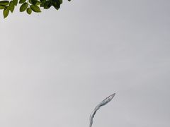 -青岛海滨风景区