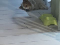 -艾蜜西餐厅(梅园店)