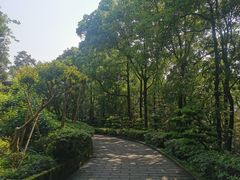 -南山植物园
