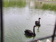 -燕郊植物园