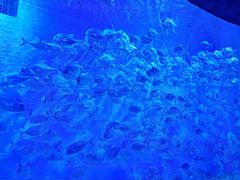 -哈尔滨波塞冬海底世界
