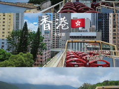 -Big Bus Tours 敞篷观光巴士