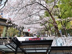 -玛格萝妮比萨屋(四平店)