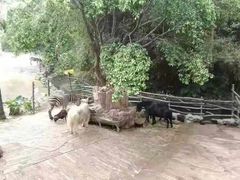 -长鹿旅游休博园