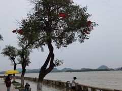-长洲岛