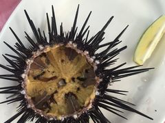 蒸海胆-阿兴生鱼片(大光路店)