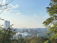 -桃花岭景区
