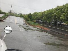 -安飞驰驾校·学车连锁(金高店)