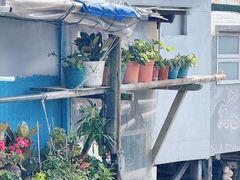 -大澳渔村及棚屋