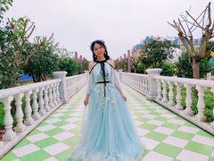 -百万葵园