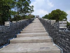 -黄贤森林公园