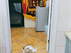 -北京佳信宠物医院