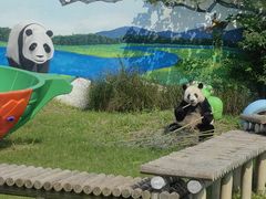 -苏州太湖国家湿地公园