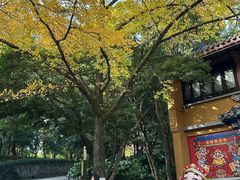 -灵谷景区