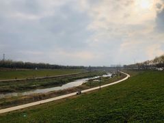 -洨河生态公园