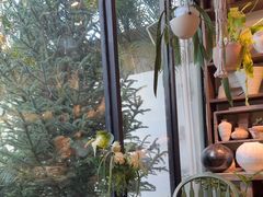 -自由生长植物工作室(深港花卉中心店)