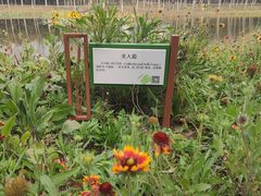 -东郊湿地公园