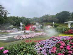 -广州市白云山风景名胜区
