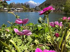 -黑龙潭公园