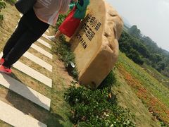 -光明小镇欢乐田园