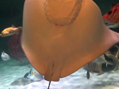 -沈阳海洋探索中心