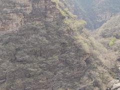 -孤山寨风景区
