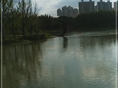 -昆山城市生态森林公园