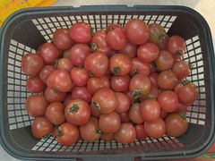 -西郊国际农产品交易中心