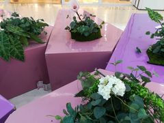 -义乌之心城市生活广场(新马路店)