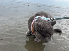 -江山半岛白浪滩景区