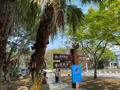 -大亚湾红树林城市湿地公园