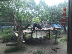 -成都动物园