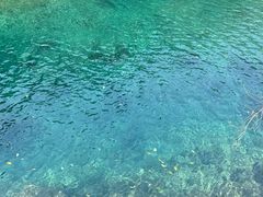 -石台牯牛降景区