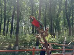 -北京野生动物园