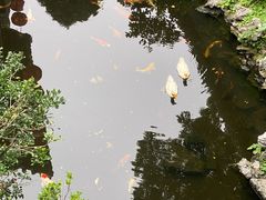 -北园酒家(小北路店)