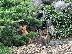 -采石矶景区
