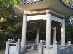 -南岗山公园