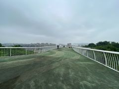 -飞凤山奥体公园