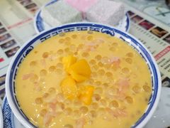 -捷信牛奶甜品世家(柳巷店)
