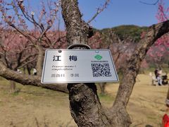 -苏州上方山国家森林公园