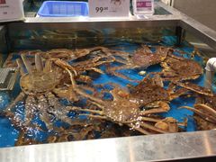 水产区-盒马鲜生(189购物中心店)