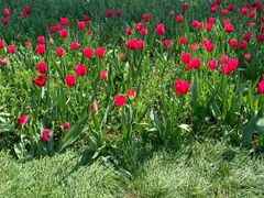 -长春公园(普阳街道)