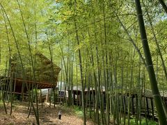 -陶祖圣境风景区