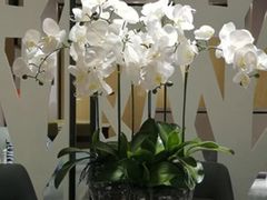 -御境·SPA养生会馆